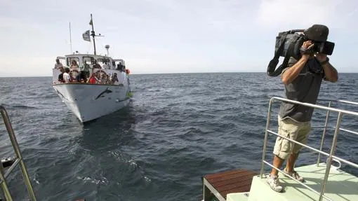 El avistamiento de cetáceos en aguas del Estrecho, una alternativa en Tarifa