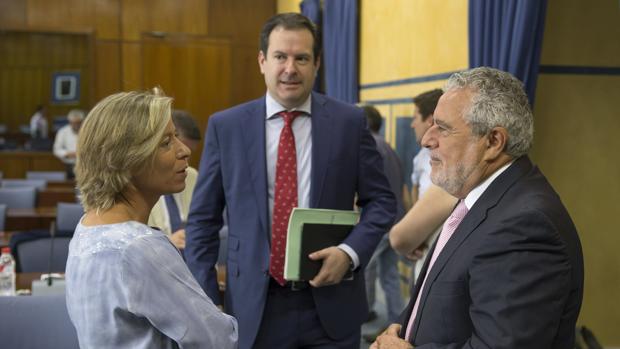 Adolfo Molina, primer candidato oficial a la presidencia del PP de Córdoba