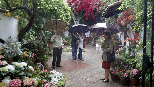 Lluvia en los patios durante pasadas ediciones