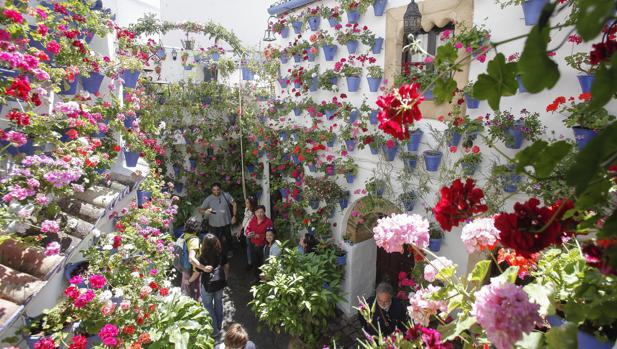 Visitantes en el patio de Postrera, 28