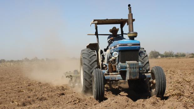 Un hombre trabaja en el campo con un tractor
