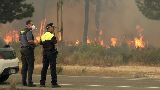 Llamas en los alrededores de Mazagón, en Huelva, en el incendio declarado en el término municipal de Moguer