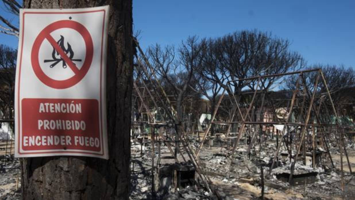 Estado en el que ha quedado en camping Doñana después del incendio de hace dos semanas