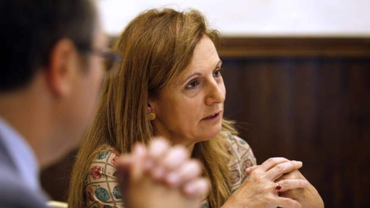 La consejera de Salud, Marina Álvarez, dio plantón a los representantes de los Colegios de Enfermería andaluces