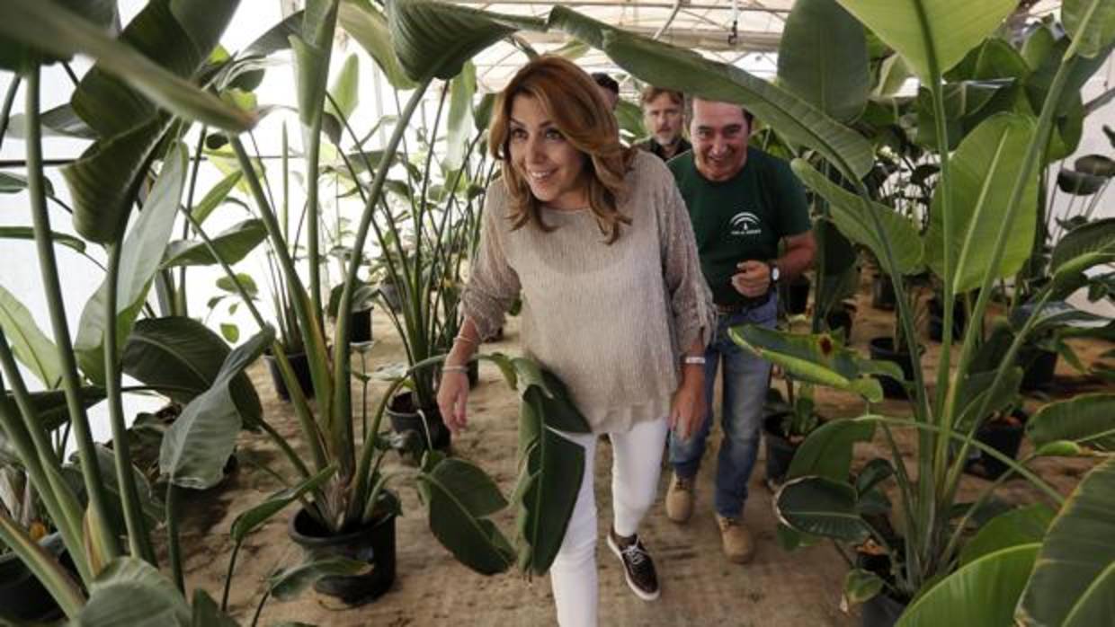 La presidenta de la Junta en el semillero de San Jerónimo de Sevilla el miércoles