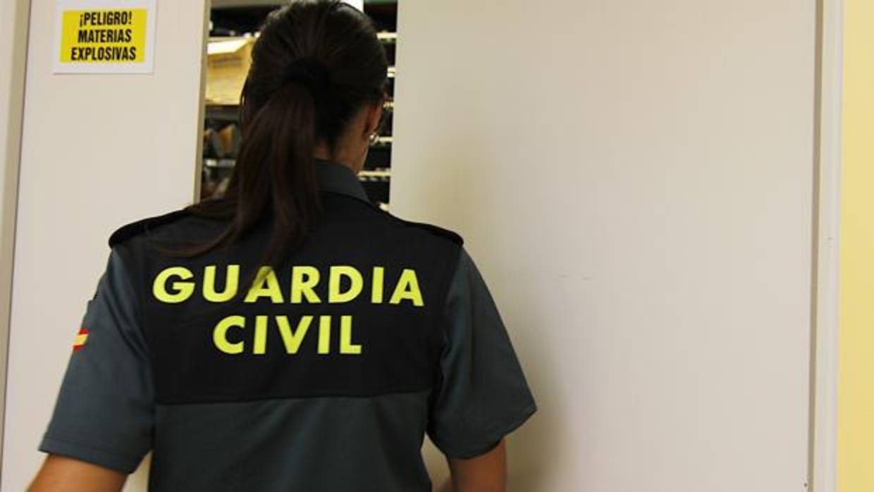 La Guardia Civil ha detenido al presunto autor de una serie de robos en Cartaya