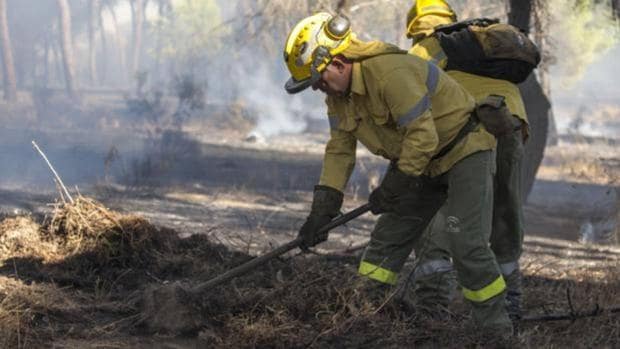 Efectivos del Infoca trabajan en la extinción de un incendio en Huelva