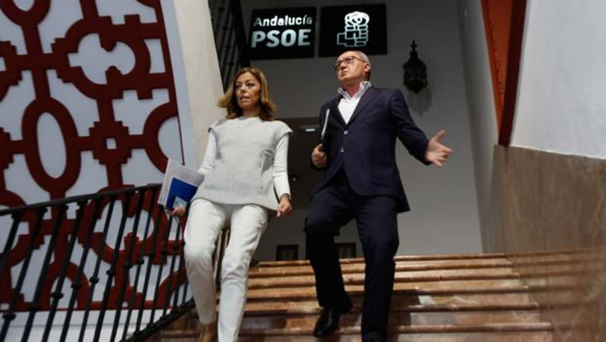 PSOE-A sobre Odón Elorza: «La frase es impropia de un dirigente socialista»