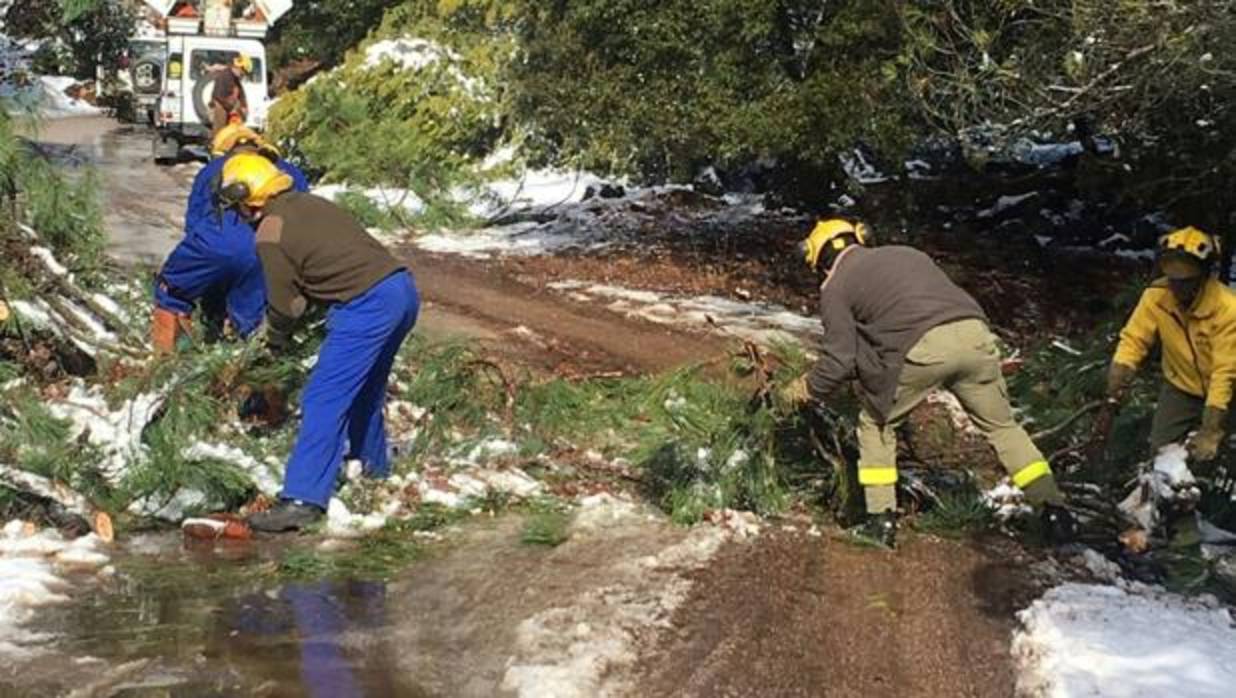 Imagen de los trabajadores de Amaya con unos simples jerseys rodeados de nieve