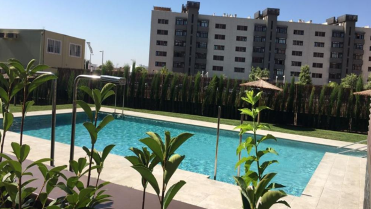 Piscina comunitaria de uno de los pisos en alquiler por 1.000 euros al mes