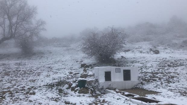 El tiempo en Córdoba: la nieve llega a Las Jaras y sigue en la Subbética; las temperaturas bajan hasta -3 grados