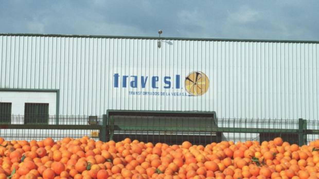 Una empresa de naranjas de Palma del Río