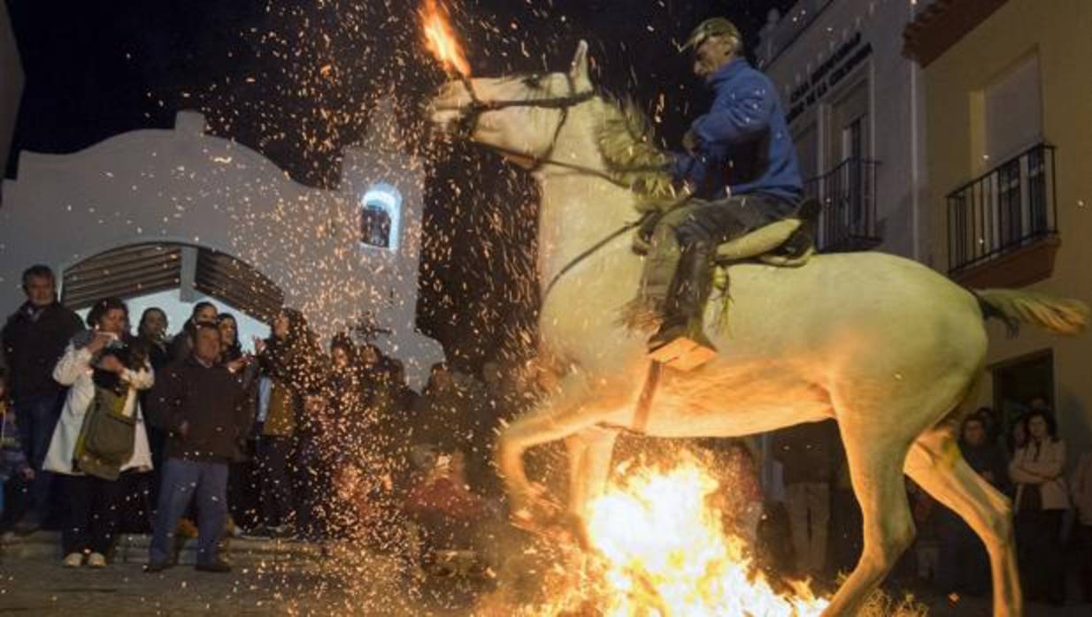 Tradición en el pueblo de Alosno en el Día de las Luminarias, donde hay que saltar el fuego con un equino