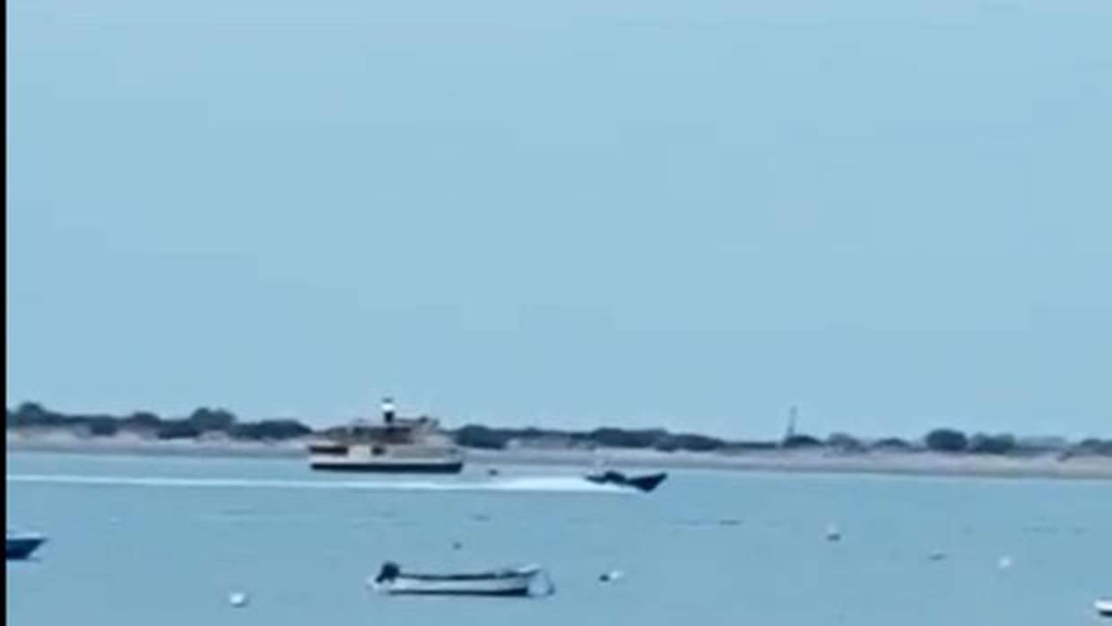 La lancha entrando en Sanlúcar
