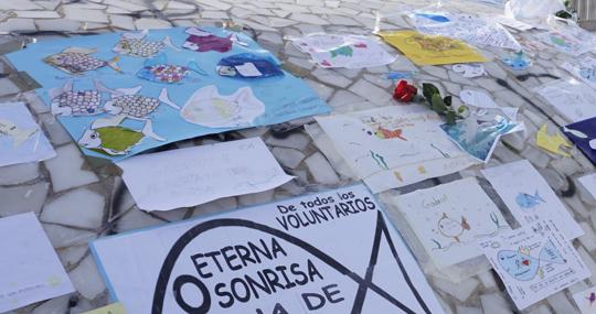 «Pescaitos» en honor del pequeño Gabriel