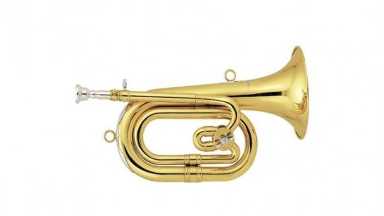 Una corneta como la que se habría usado para golpear