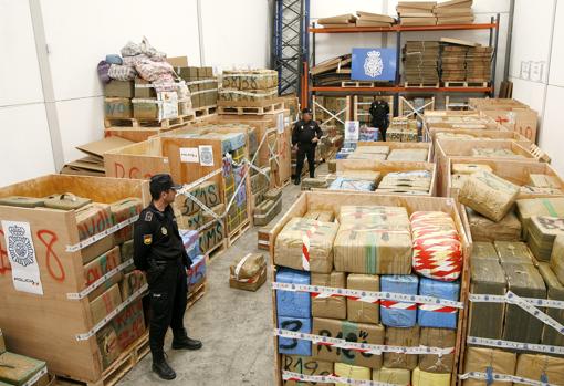 Macroalijo en el polígono de la Torrecilla en Córdoba