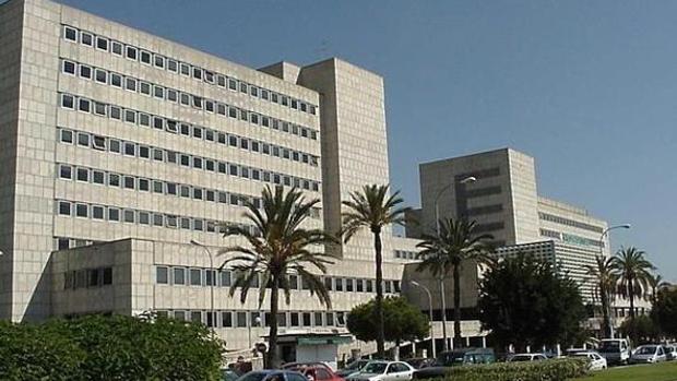 Los médicos descartan que la menor en el botellón de Málaga sufriera una agresión sexual