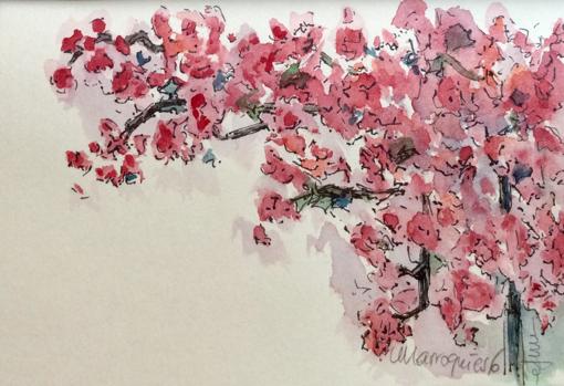 Patios de Córdoba de 2018: Marroquíes, 6