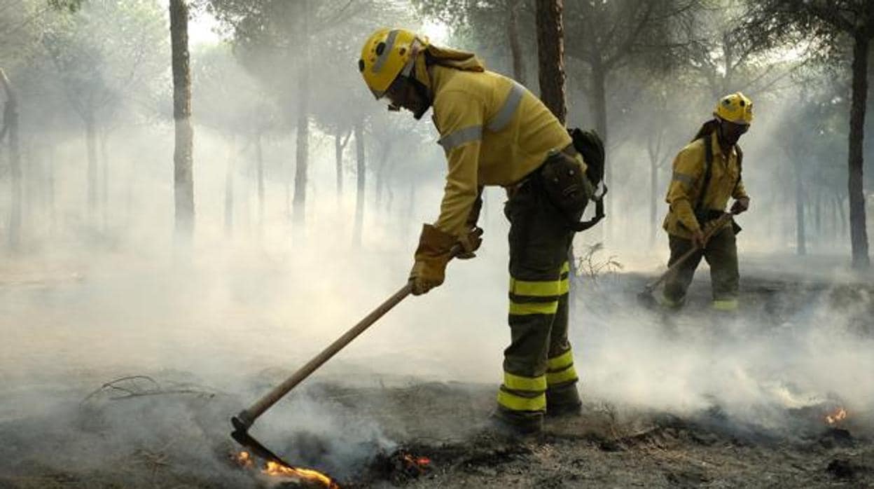 Bomberos forestales de la Junta apagando el último incendio en Doñana