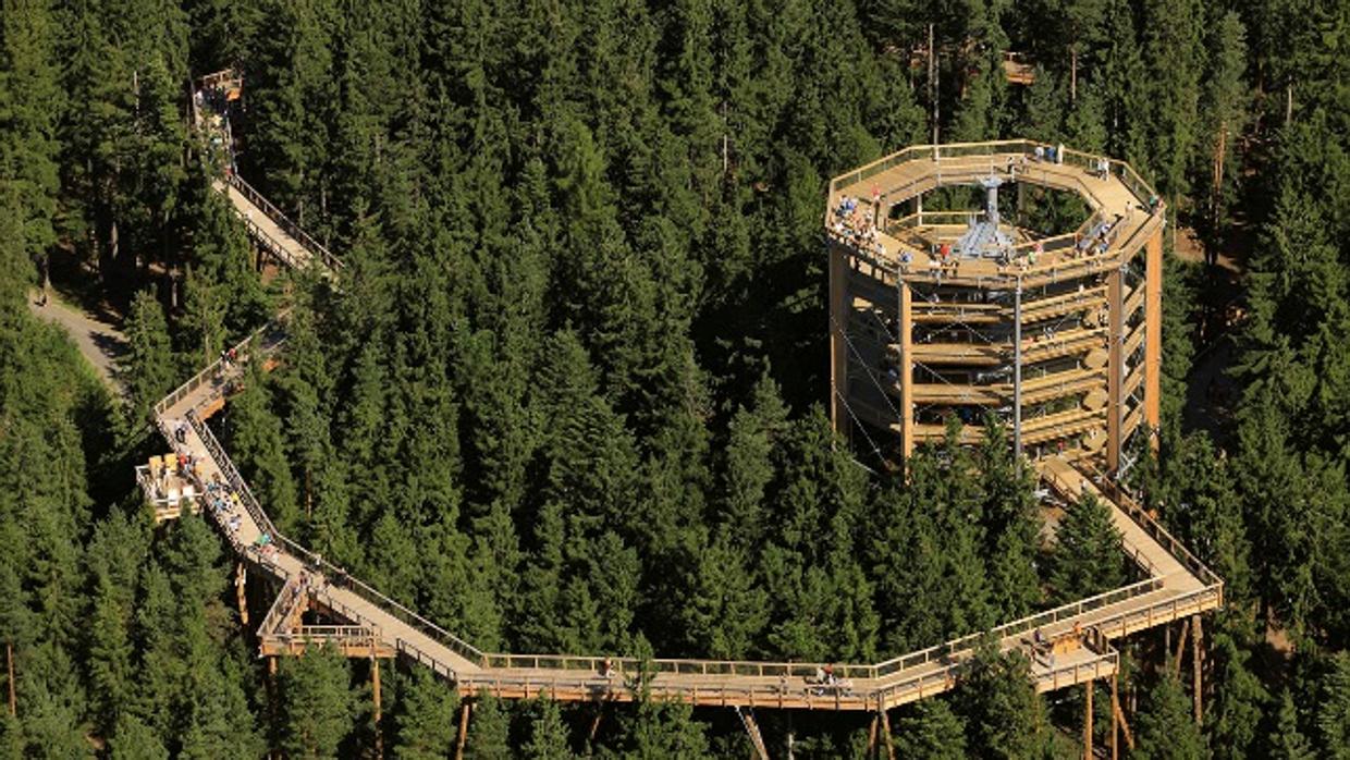Sendero en altura sobre la arboleda similar al proyectado en el parque Fuente Agria de Villafranca de Córdoba