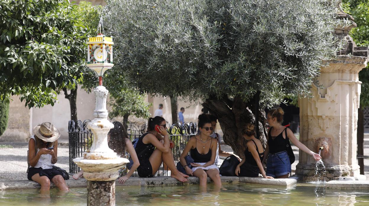Un grupo de turistas se refresca en el Patio de los Naranjos durante la última ola de calor