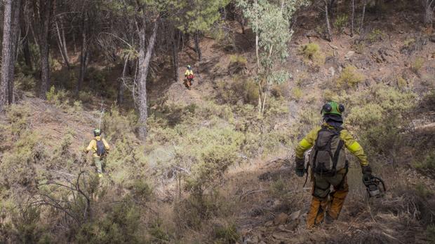 La Junta «rechaza» las afirmaciones de Asaja sobre la política de prevención de incendios forestales