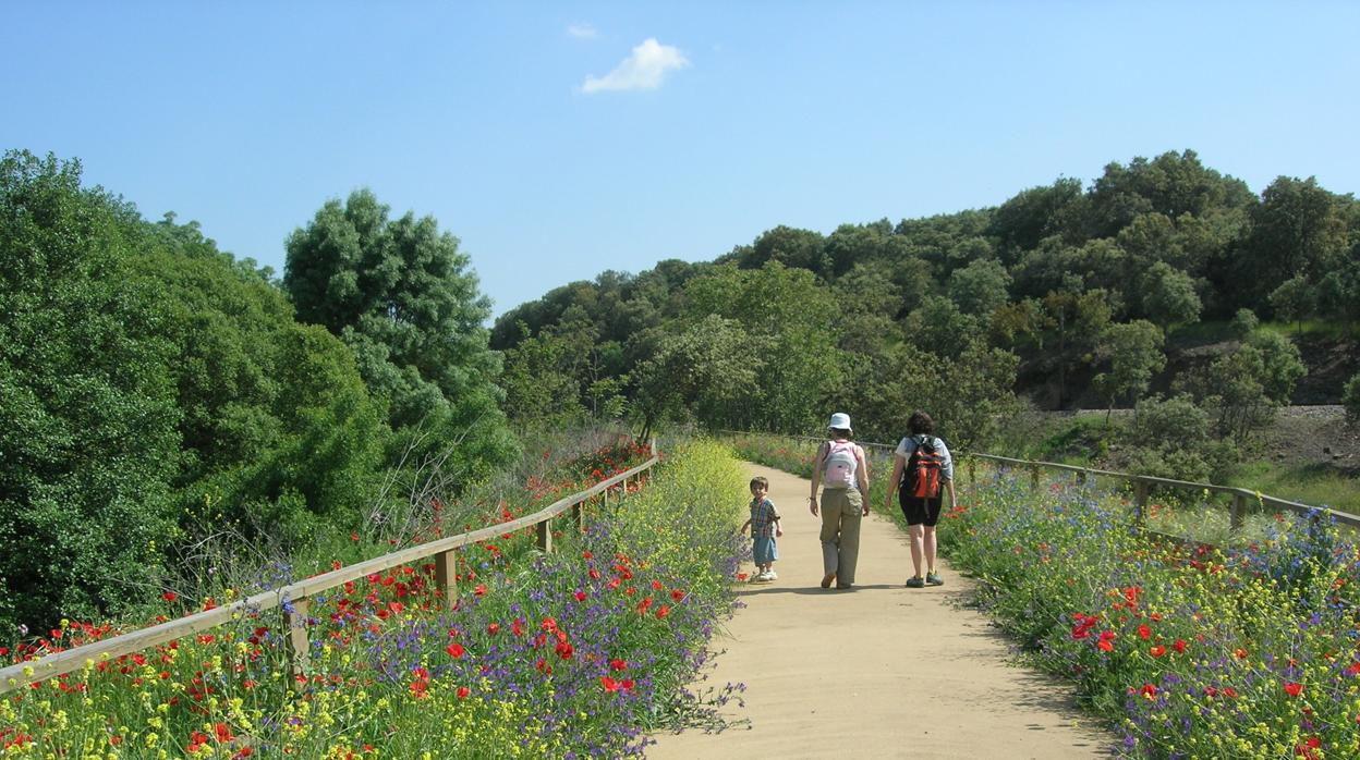 Una familia hace senderismo por una vía verde de la Sierra Norte