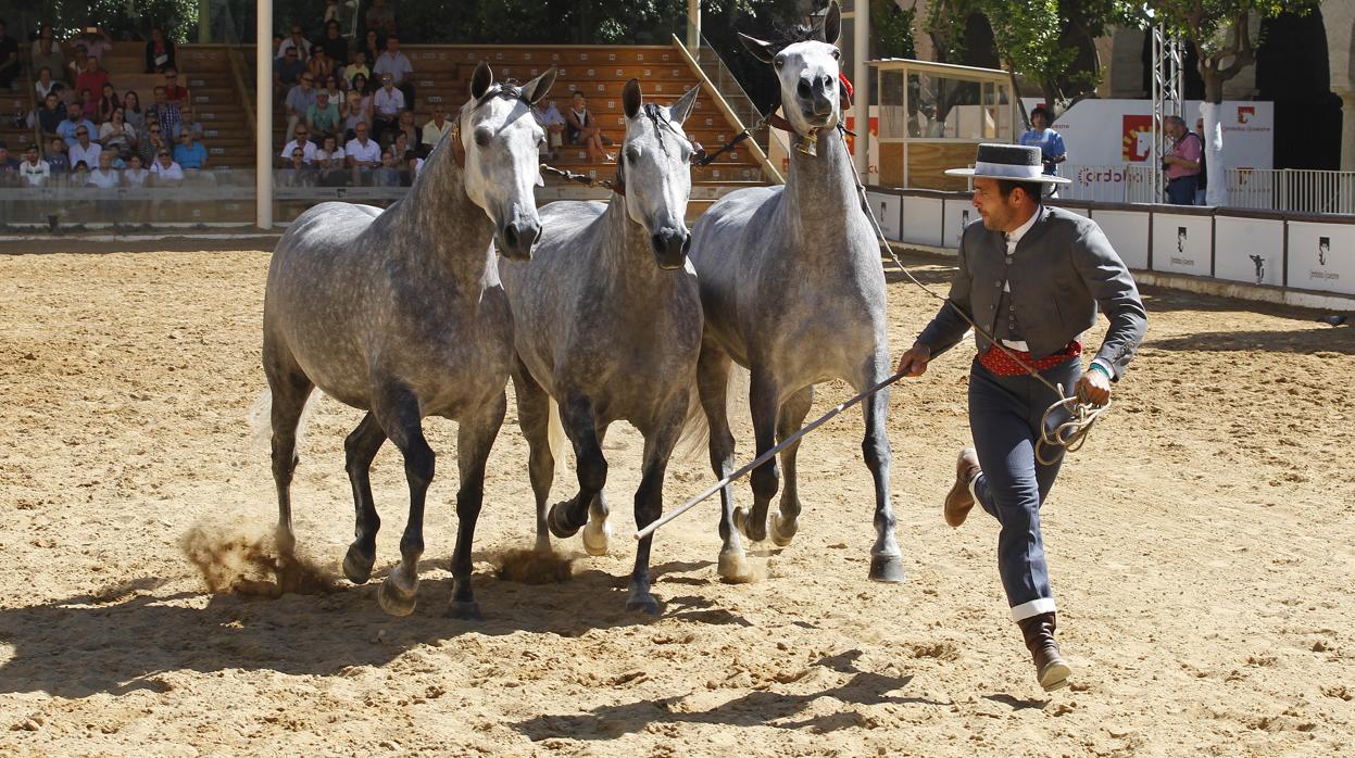 Una imagen de la pasada edición de Cabalcor, feria organizada por Córdoba Ecuestre