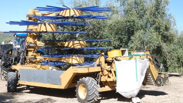 La máquina que lo hará casi todo en el olivar ya está inventada por la Universidad de Córdoba