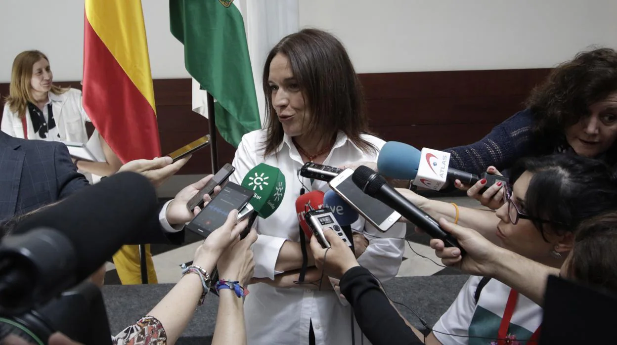 Lina Álvarez, tras su toma de posesión como consejera andaluza el pasado mes de junio