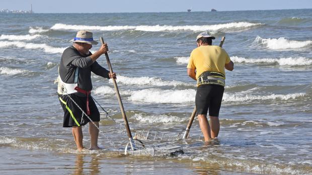 Los mariscadores de la costa occidental de Huelva podrán faenar en las playas de Doñana