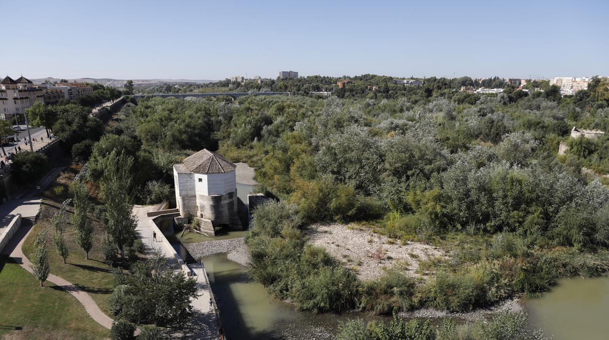 Una de las vistas de los Sotos de la Albolafia