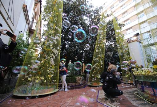 Muestra floral en el Palacio de la Diputación