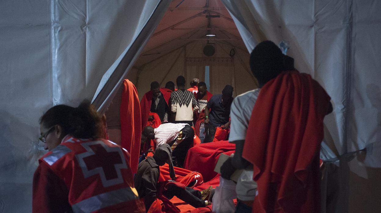 El grupo cuando se disponía a acostarse en la carpa