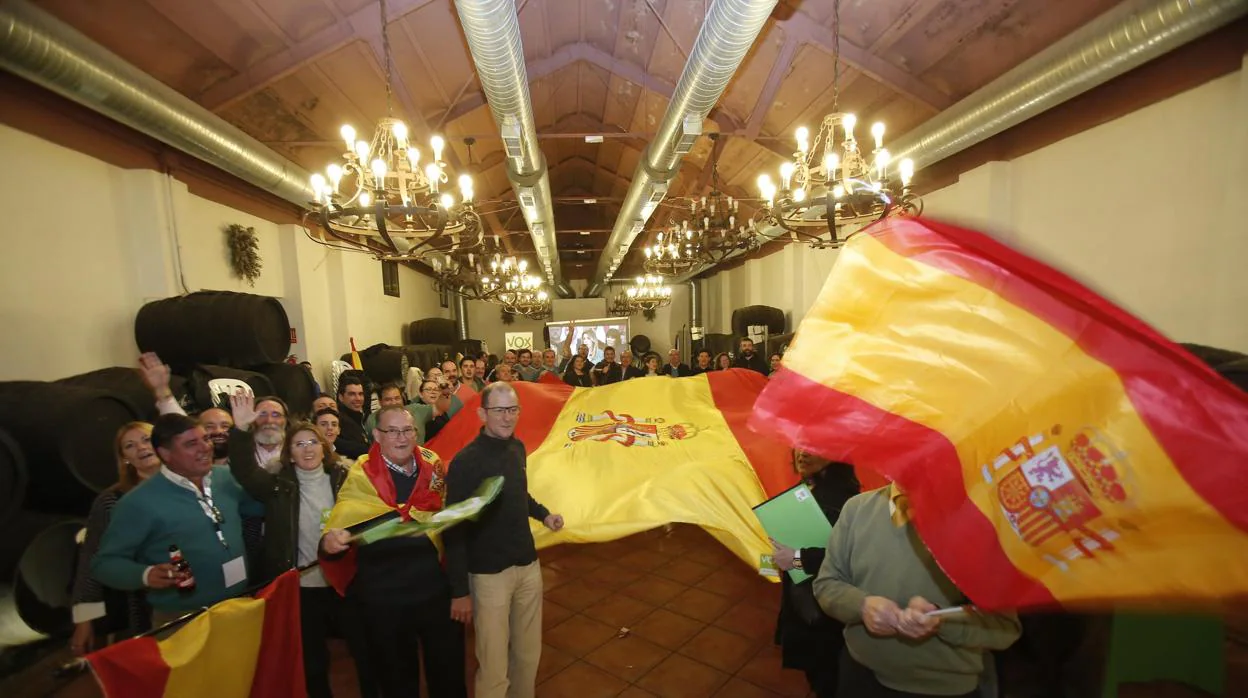 Simpatizantes y afiliados de Vox celebran en Córdoba los resultados de las últimas elecciones autonómicas