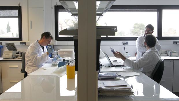 Inventores en la Universidad de Córdoba: cien patentes desde 2015 y el compromiso de mejorar el mundo