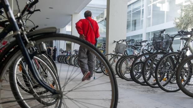 Muestra de bicicletas robadas recuperadas por la Policía Local sevillana
