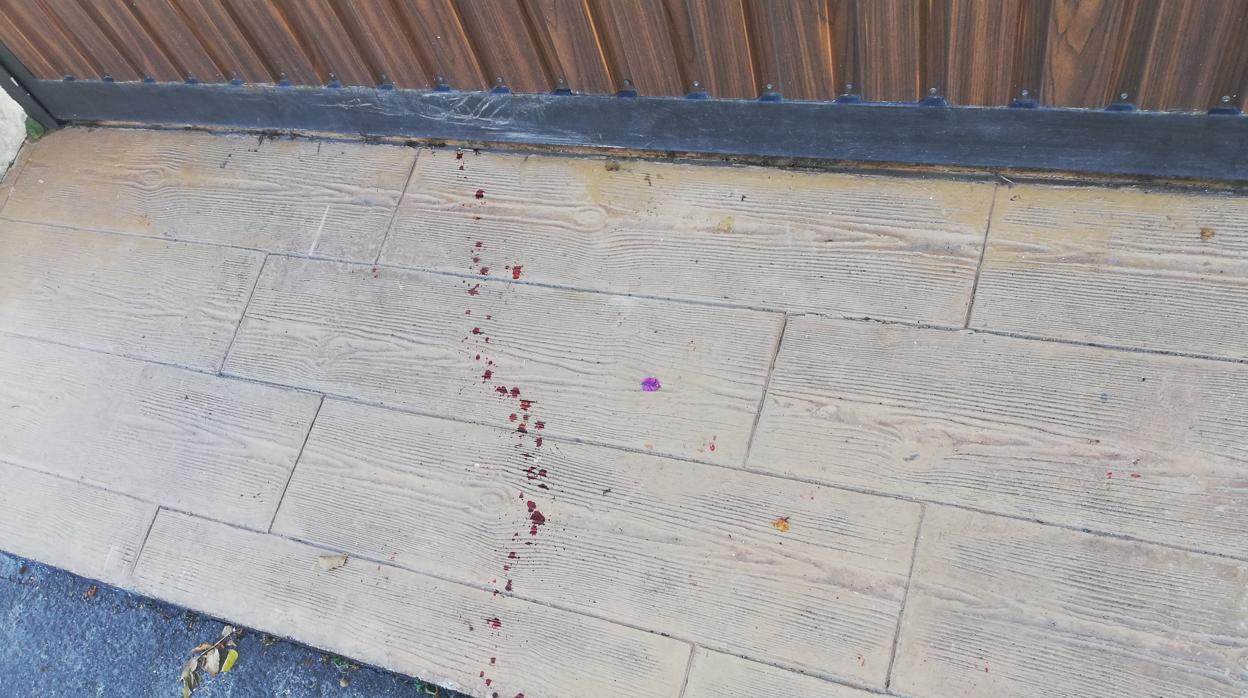 Vivienda de Marbella en la que ha tenido lugar el crimen de un empresario