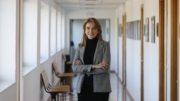 Rosa Gallardo, directora de la Etsiam de Córdoba: «El olivar tiene margen de crecimiento»