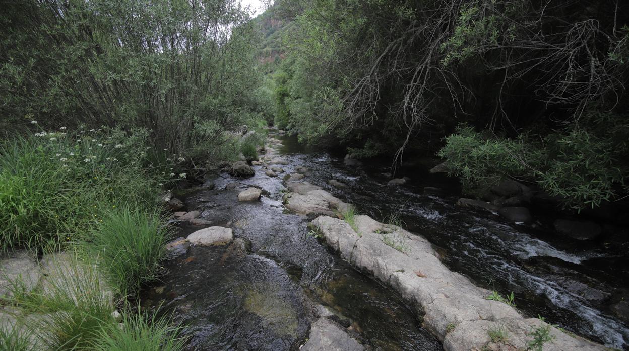 Baños de Popea de Córdoba