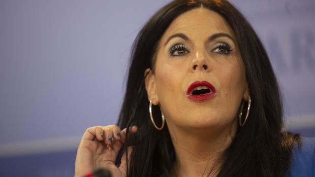 Ángeles Férriz, portavoz del PSOE: «El 8 de marzo estará marcado por la manada de la ultraderecha»