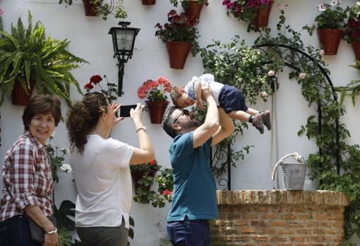 Todo lo que necesitas saber sobre los Patios de Córdoba 2019