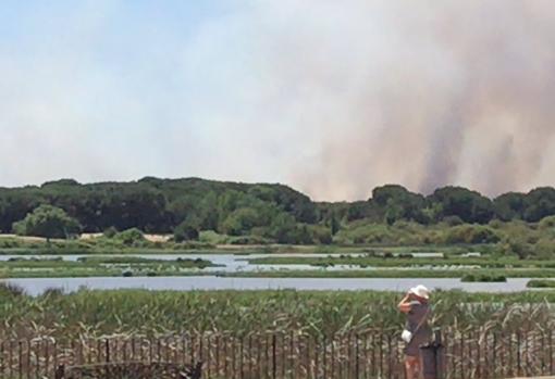 Incendio en la finca de Los Mimbrales