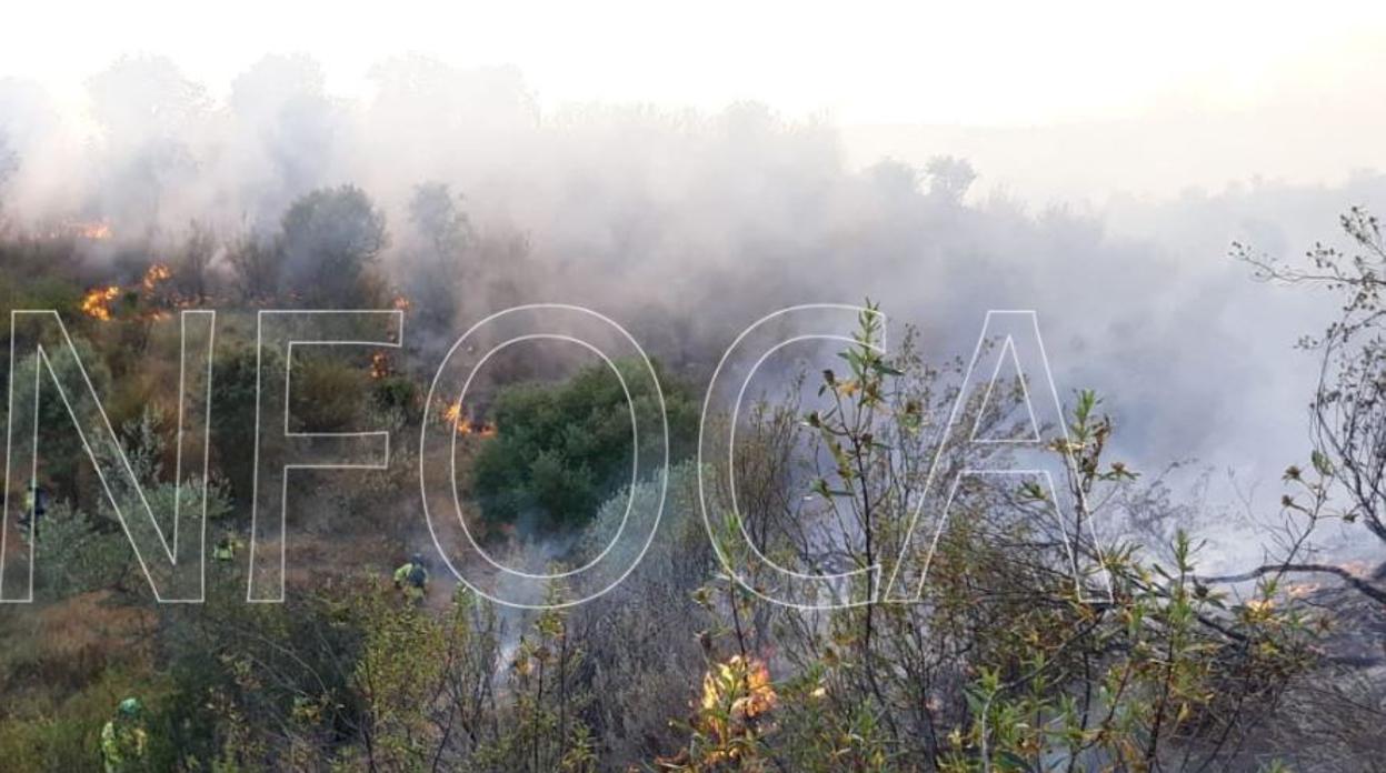 Imagen del incendio declarado en Beas