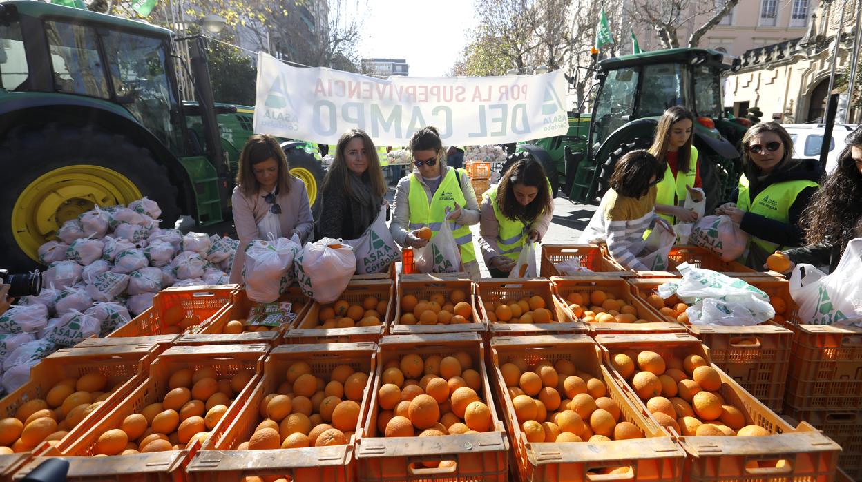 Protesta de Asaja por la caída de los prcecios de la naranja