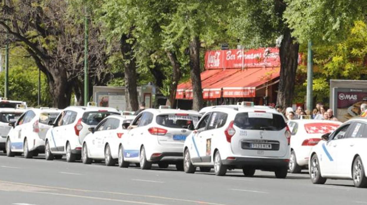 Taxistas en protesta por Sevilla