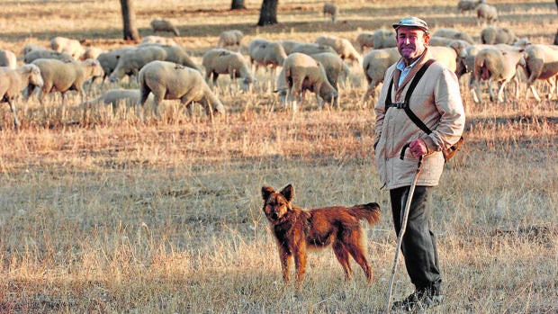 El campo cordobés denuncia problemas para cobrar seguros agrarios por la falta de pastos