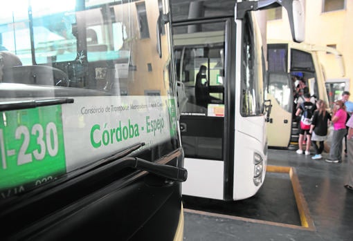 Detalle de una de las líneas del Consorcio