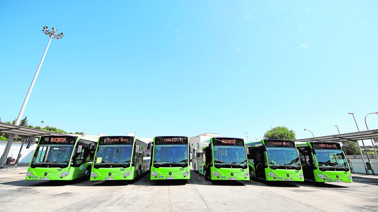 Línea de autobuses de Aucorsa en el aparcamiento de la empresa municipal del polígono Pedroche